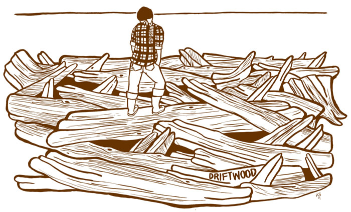 driftwood1
