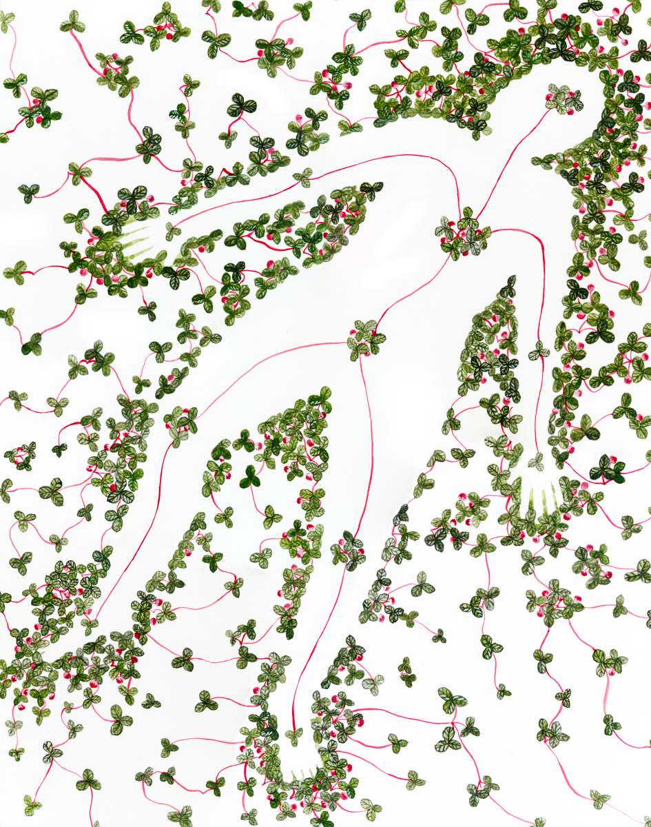 A human in a field of wild strawberries